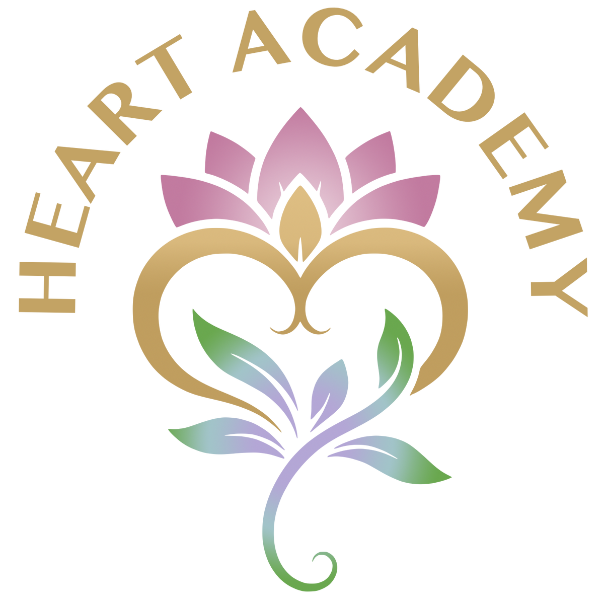 Heart Academy